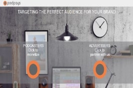 podpays, Online solution provider