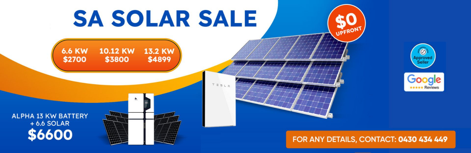 Website Designing and Digital Marketing screenshot 1