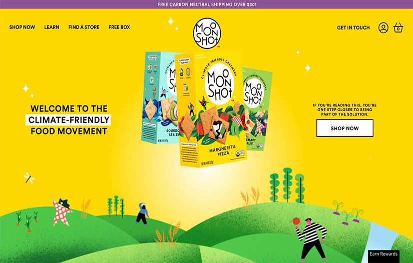 Our team has already worked with the American brand Moonshot on several marketing projects. screenshot 1