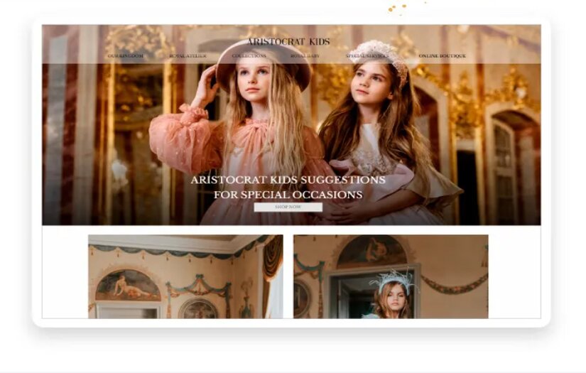 Aristocrat Kids: ERP system screenshot 1