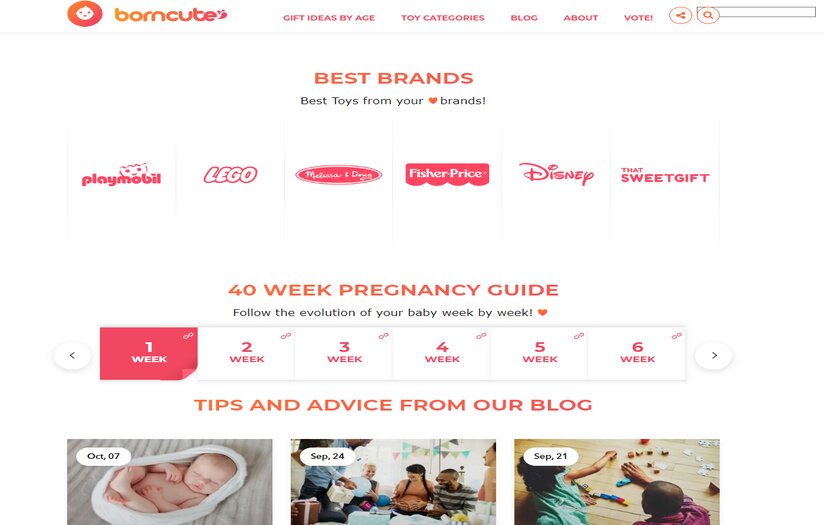 Authority site in the Baby industry screenshot 1