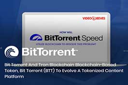 Bit Torrent