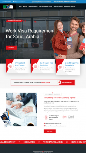 Visa Application Website Development screenshot 2