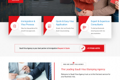 Visa Application Website Development