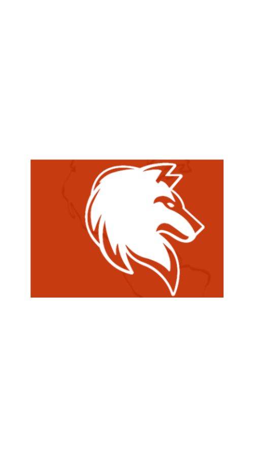 'Wolfcfd screenshot 1