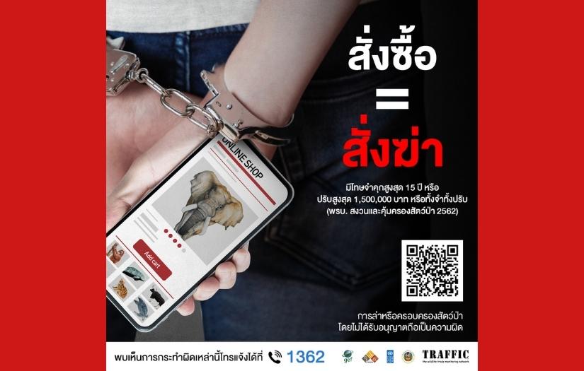 Digital Creative Content screenshot 1