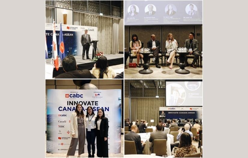 Digital Consultancy Project and Digital Creative Content screenshot 1