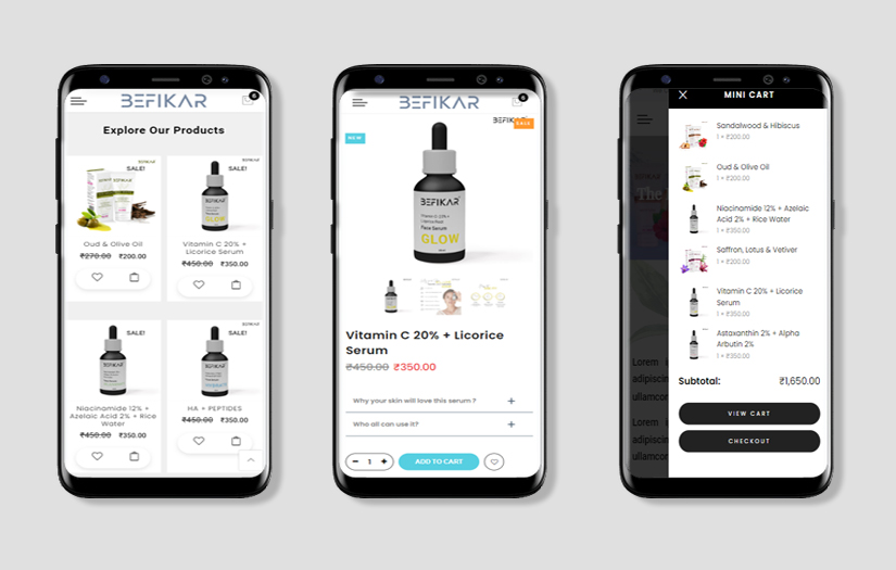 Befikar screenshot 2