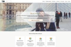 Do you need a Laravel developer?