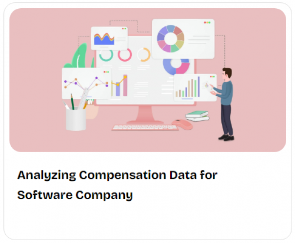Analyzing Compensation Data for Software Company screenshot 1