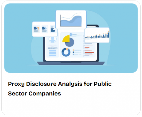 Proxy Disclosure Analysis for Public Sector Companies screenshot 1