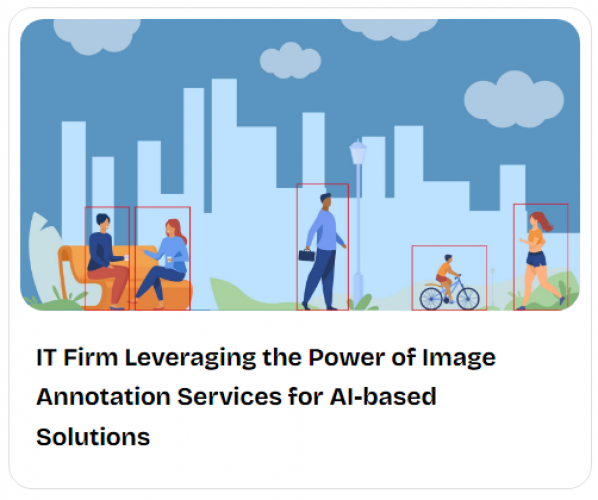 IT Firm Leveraging the Power of Image Annotation Services for AI-based Solutions screenshot 1