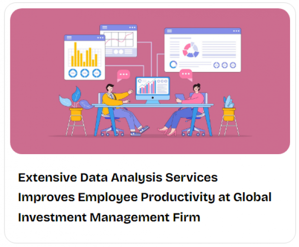 Extensive Data Analysis Services Improves Employee Productivity at Global Investment Management Firm screenshot 1