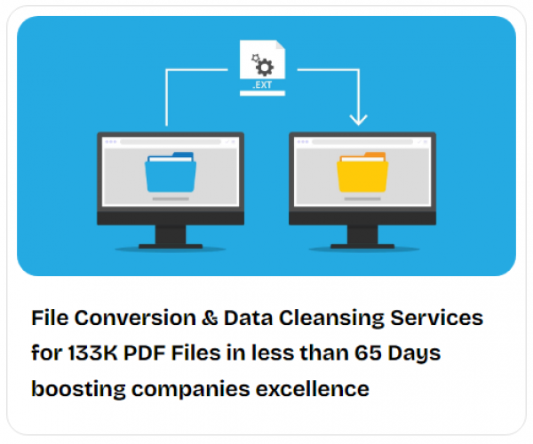 File Conversion & Data Cleansing Services for 133K PDF Files in less than 65 Days boosting companies excellence screenshot 1