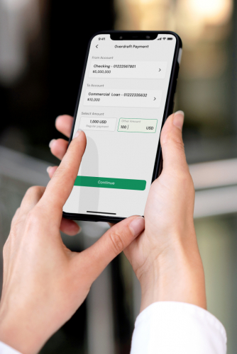 Empowering SME Banks: The Digital Banking Revolution screenshot 3