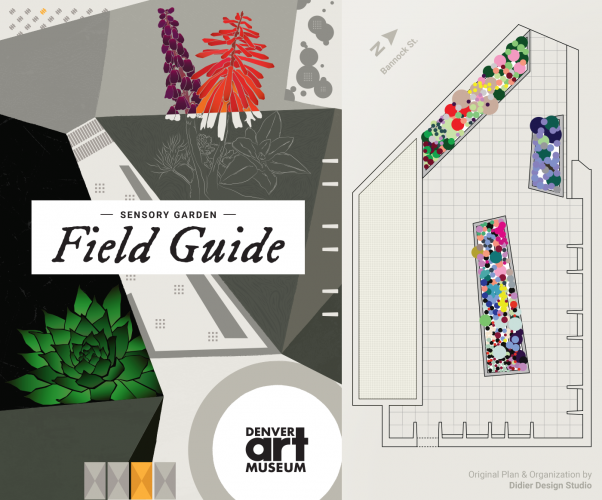 Denver Art Museum Sensory Garden Field Guide screenshot 5
