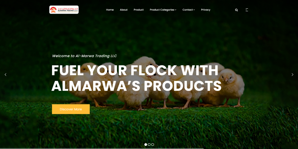 Website for an International Trading Business screenshot 1