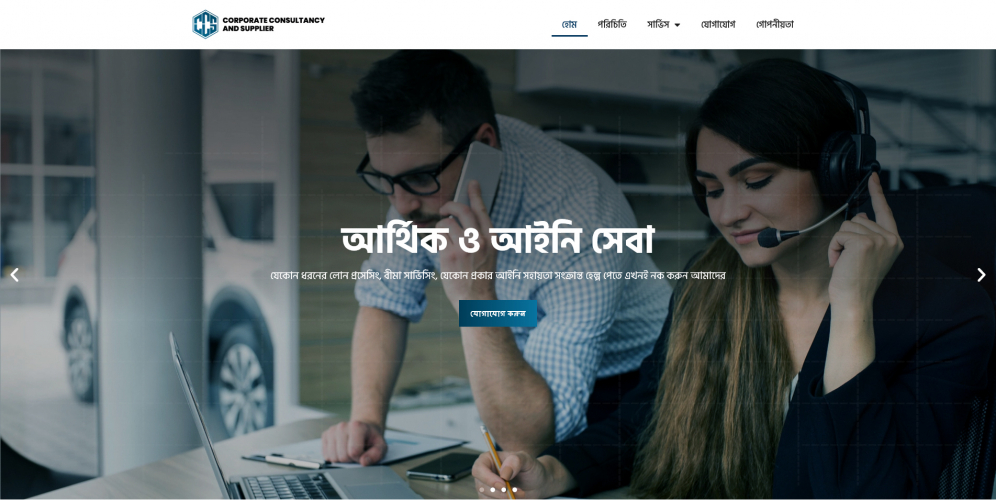 Website for a Consultancy Service Provider screenshot 2