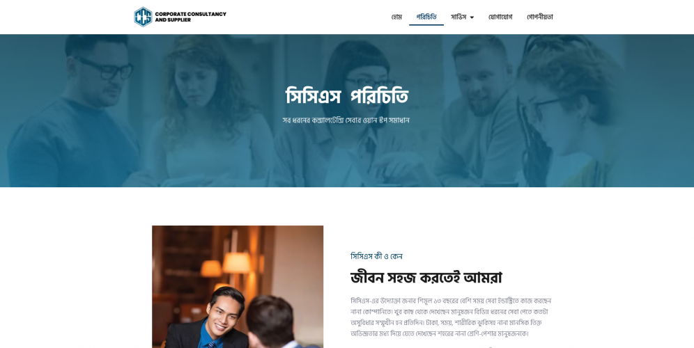 Website for a Consultancy Service Provider screenshot 1