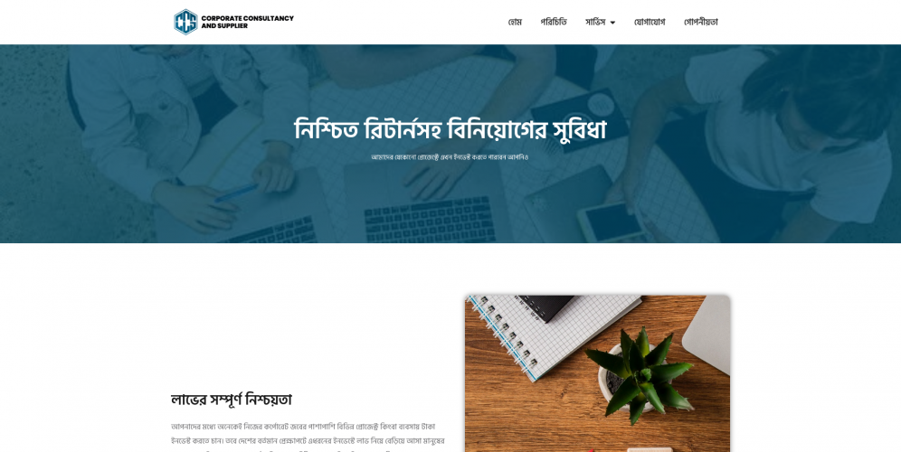 Website for a Consultancy Service Provider screenshot 4