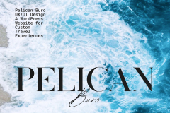 WordPress UX/UI Designer for Custom Travel Brand | Pelican Tour