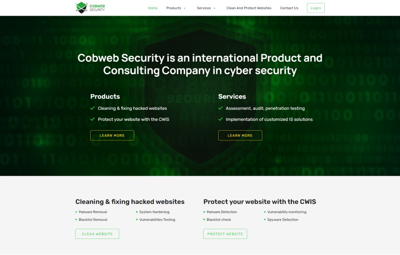 Web development for Information Security Company screenshot 1