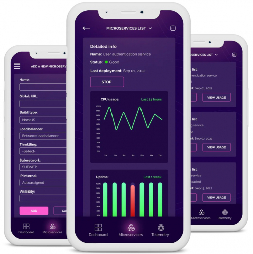 A centralized platform for internal microservices screenshot 2