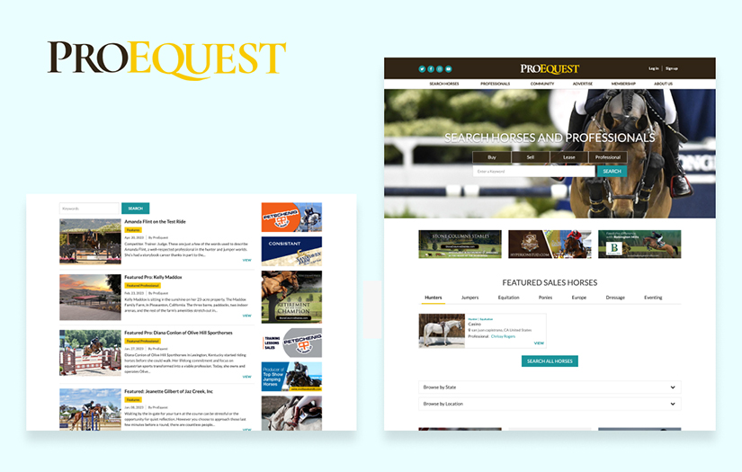ProEquest - Worldwide Equestrian Marketplace screenshot 1