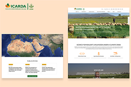 ICARDA - International Research & Development