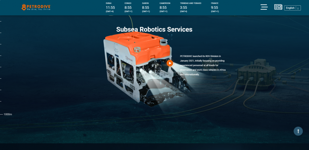 Creating an Interactive Website for Petrodive screenshot 4