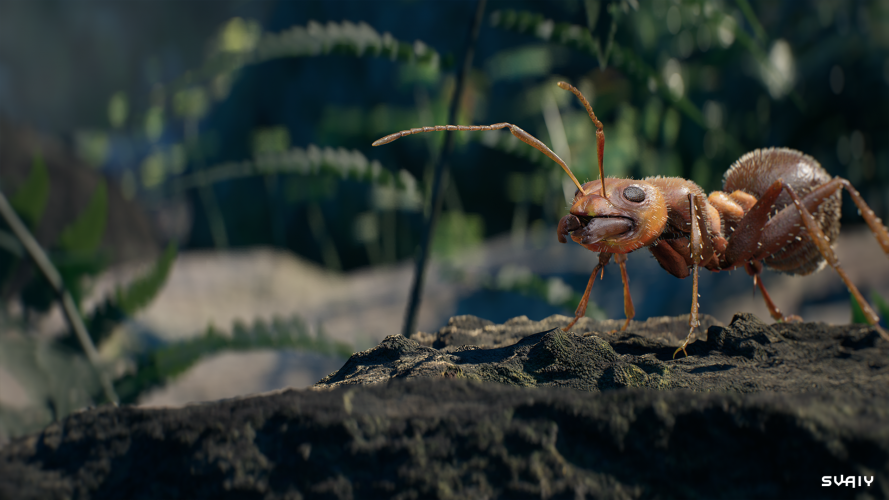 Bear Fury | Trailers & Cinematics screenshot 5