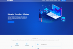 Wordpress Website