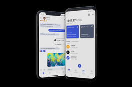 Ultra secure & advanced app that combines a crypto wallet, private messenger & file storage