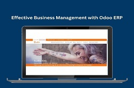 Odoo Implementation for Hearing Protection Company