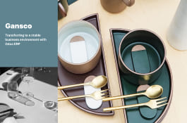 GANSCO - Odoo ERP-CRM transferring to a stable environment