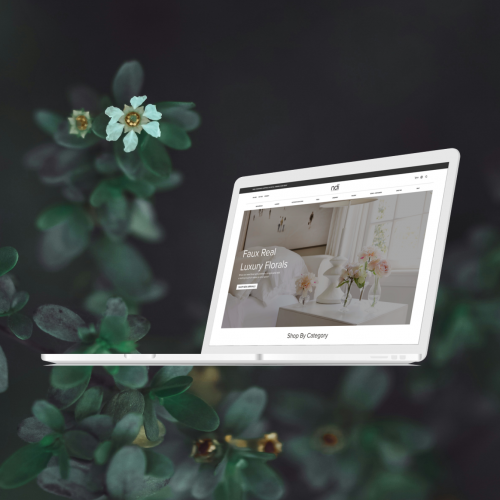 NDI website screenshot 1