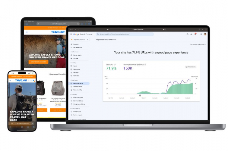 Shopify Core Web Vitals Optimization screenshot 1