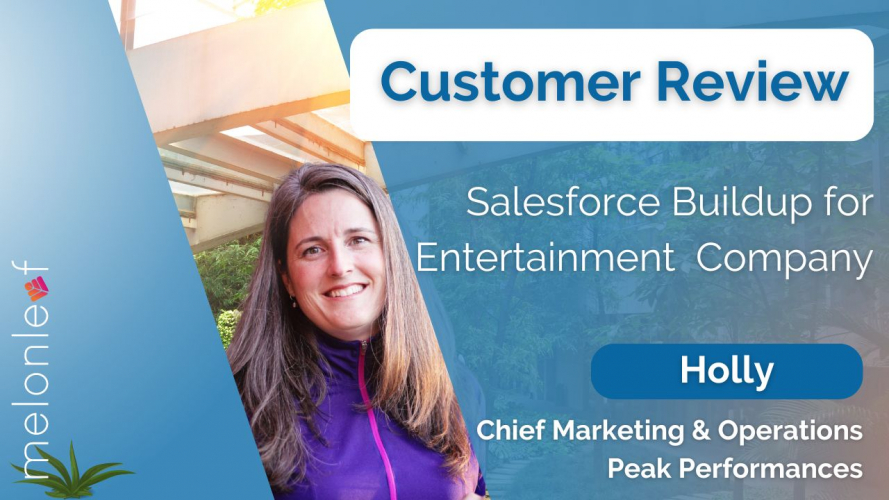 Salesforce Setup for a production Company - Peak Performances screenshot 1