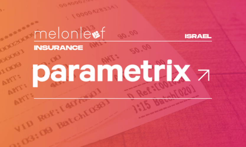 Salesforce Setup for Insurance Company - Parametrix screenshot 1