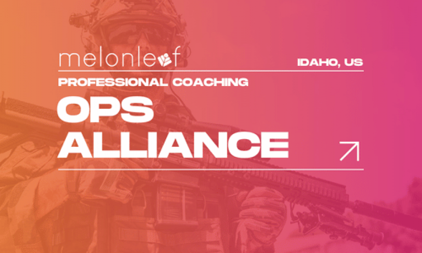 Salesforce Order Management System - OPS Alliance screenshot 1