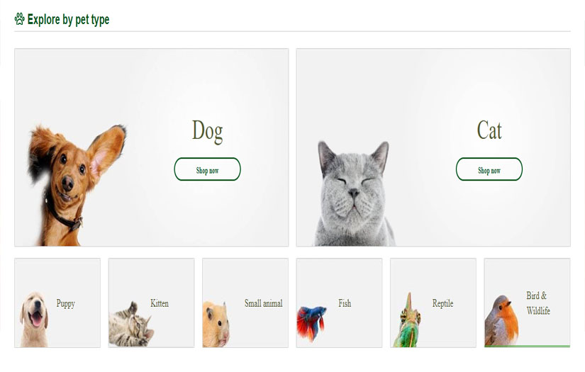 Website Design screenshot 2