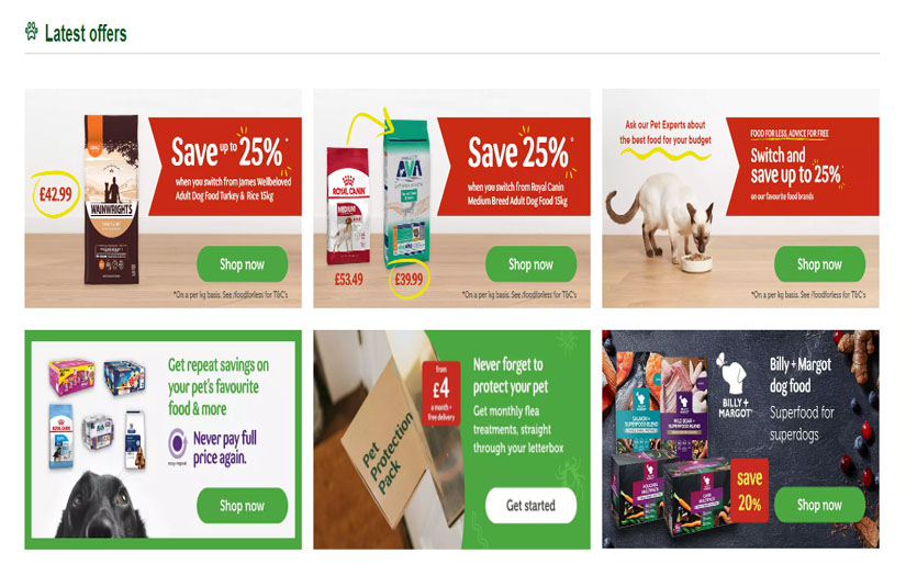 Website Design screenshot 1