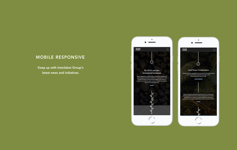 Interlaken Group Website screenshot 5