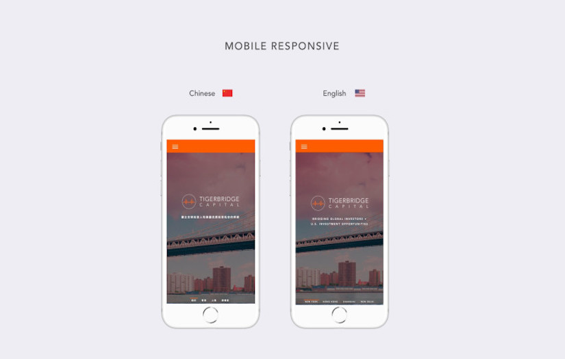 Tigerbridge Capital Website screenshot 3