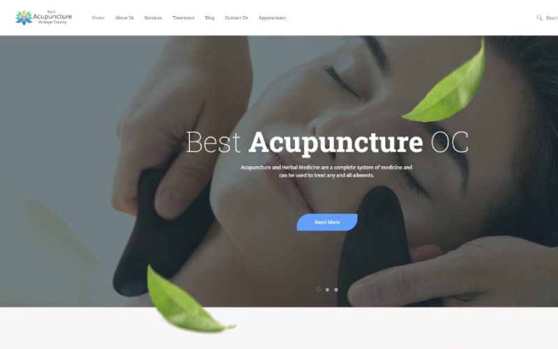 Digital Marketing, SEO, and Web Design for Acupuncture Practice screenshot 1