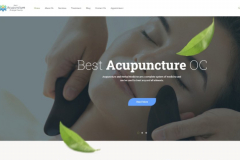 Digital Marketing, SEO, and Web Design for Acupuncture Practice