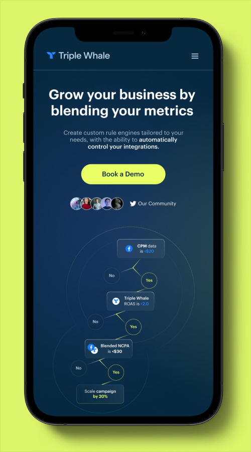 Triple Whale screenshot 2