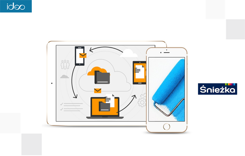 Implementation of Logito in Śnieżka screenshot 1