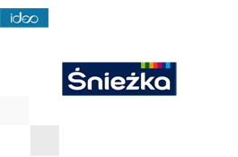 Implementation of Logito in Śnieżka