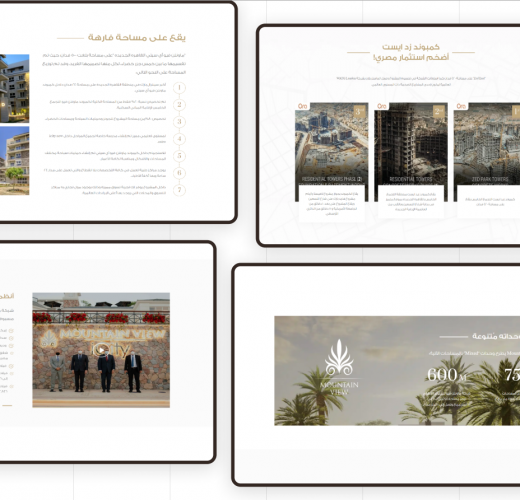 Mountain View Smart Website screenshot 1